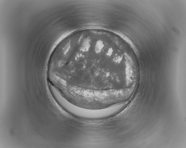 X0000114651333200911171042