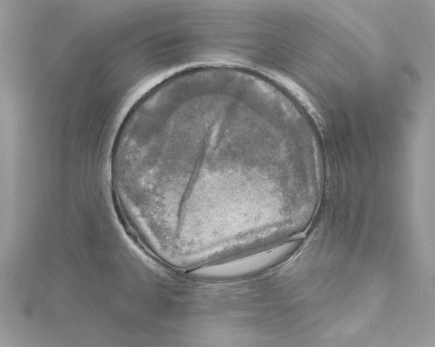 X0000114651335200911171042