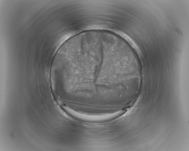 X0000114651337200911171042