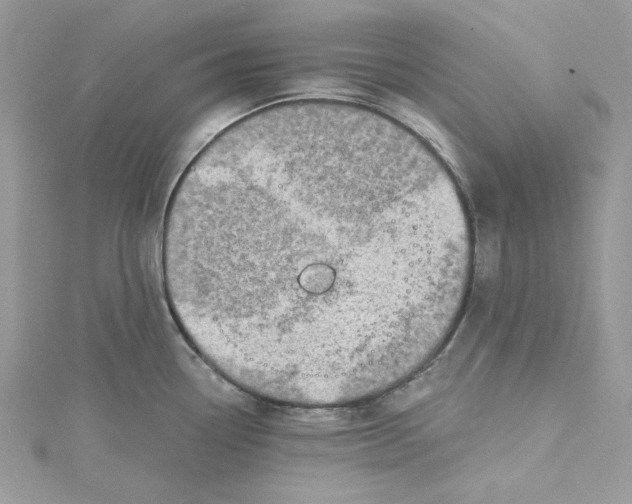 X0000114651338200911171042