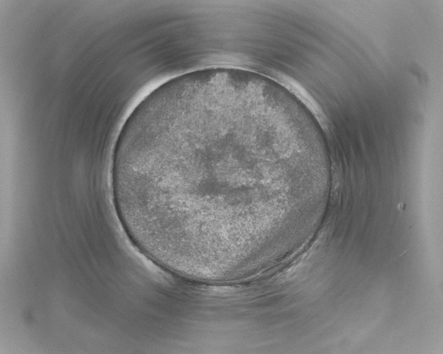 X0000114651339200911171042