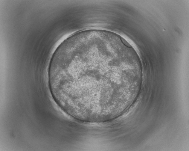 X0000114651341200911171042