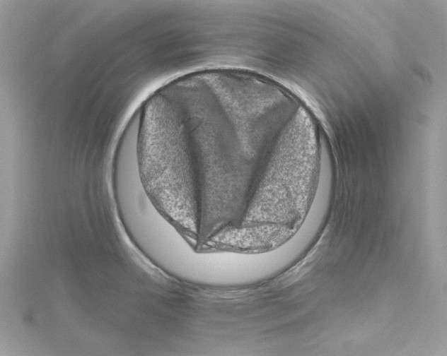 X0000114651342200911171042