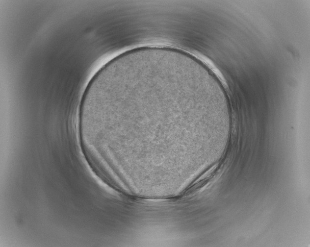 X0000114651343200911171042