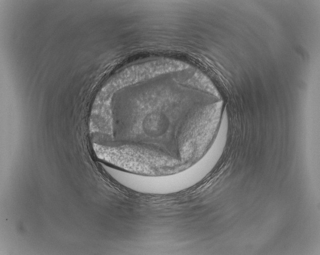 X0000114651345200911171042