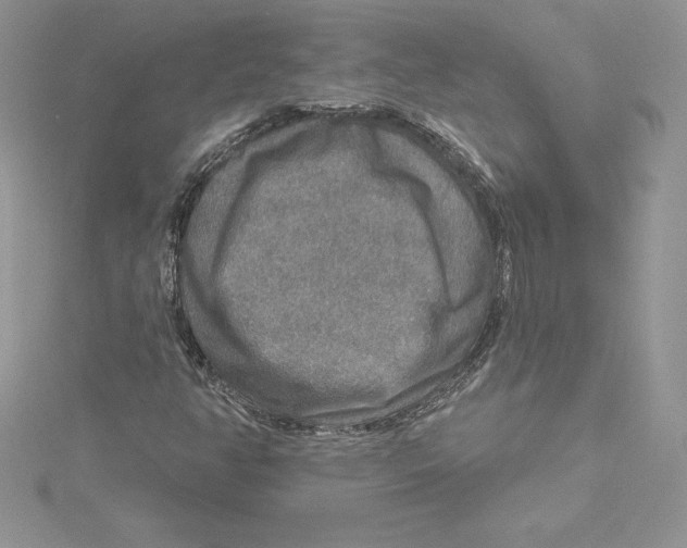 X0000114651350200911171042