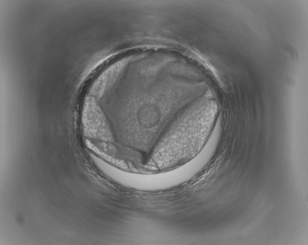 X0000114651352200911171042