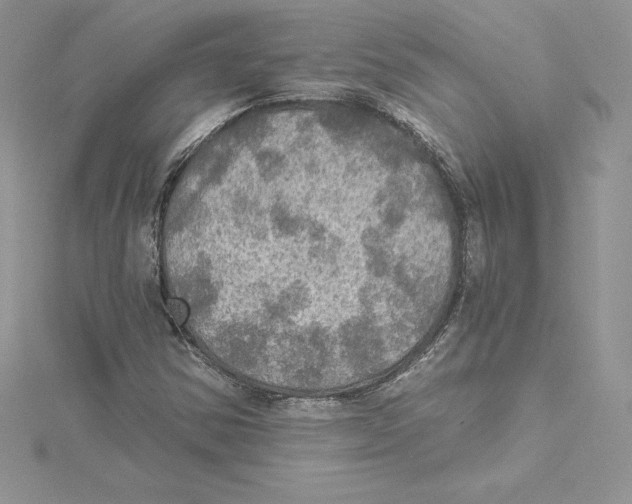 X0000114651354200911171042