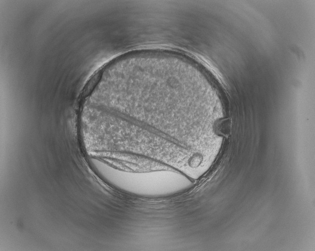 X0000114651356200911171042