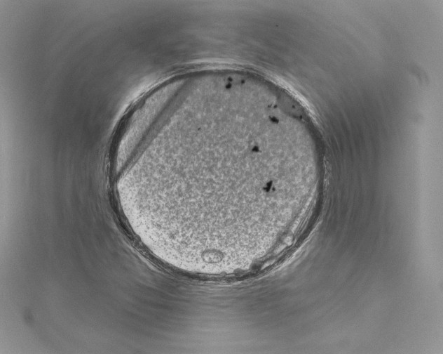 X0000114651357200911171042