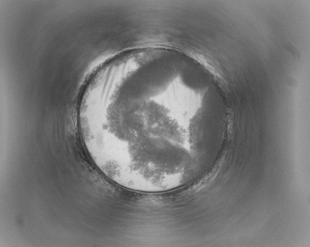 X0000114651358200911171042