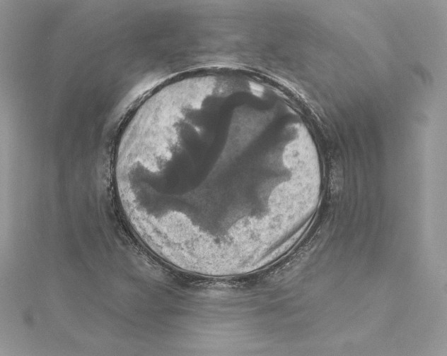 X0000114651359200911171042