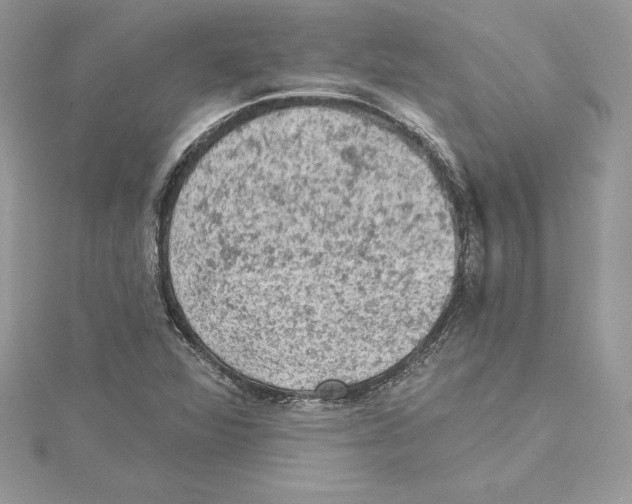 X0000114651360200911171042