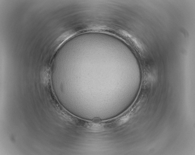 X0000114651361200911171042