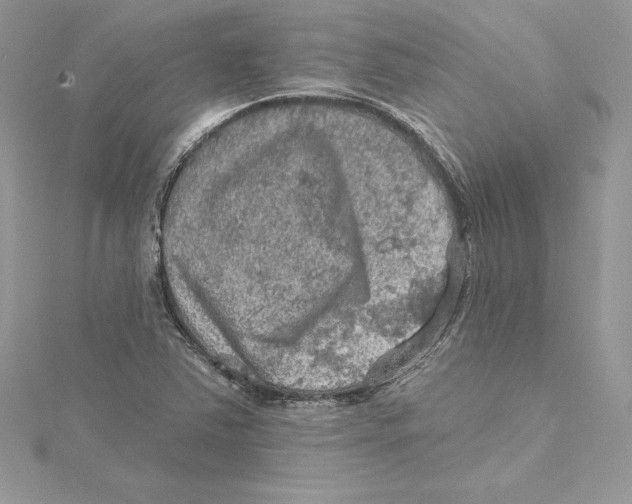 X0000114651363200911171042