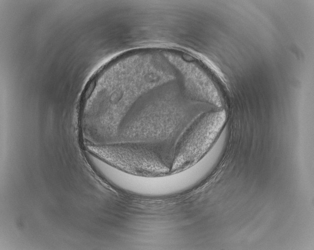 X0000114651364200911171042