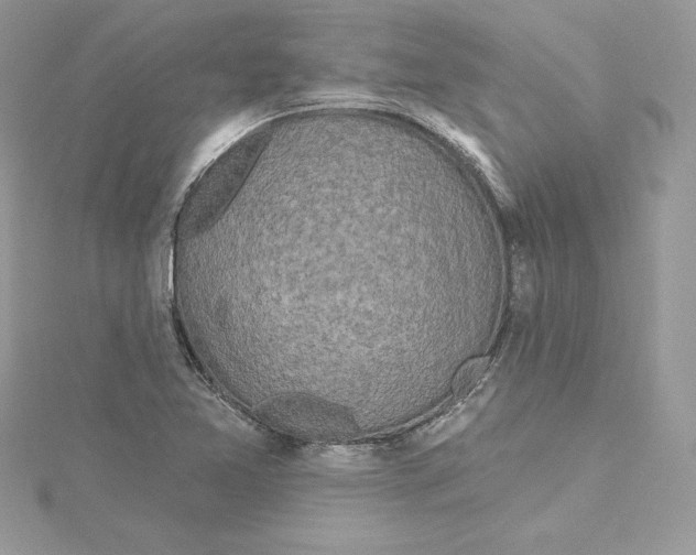 X0000114651365200911171042