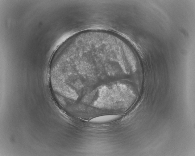 X0000114651367200911171042