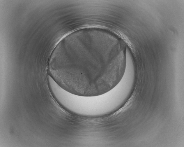 X0000114651369200911171042