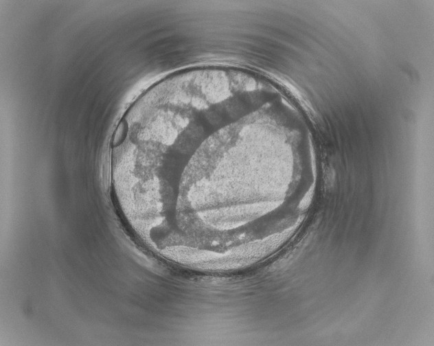 X0000114651371200911171041