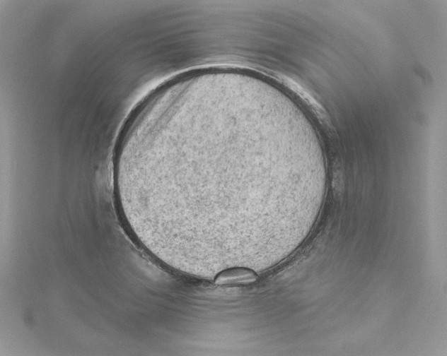 X0000114651372200911171041