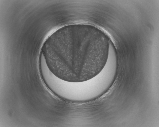 X0000114651373200911171041