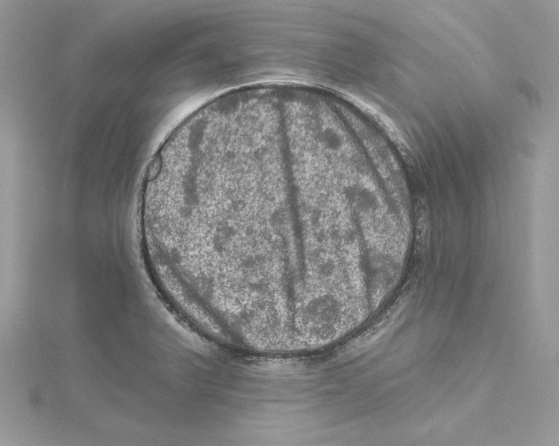 X0000114651375200911171041