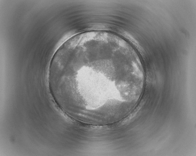 X0000114651378200911171041