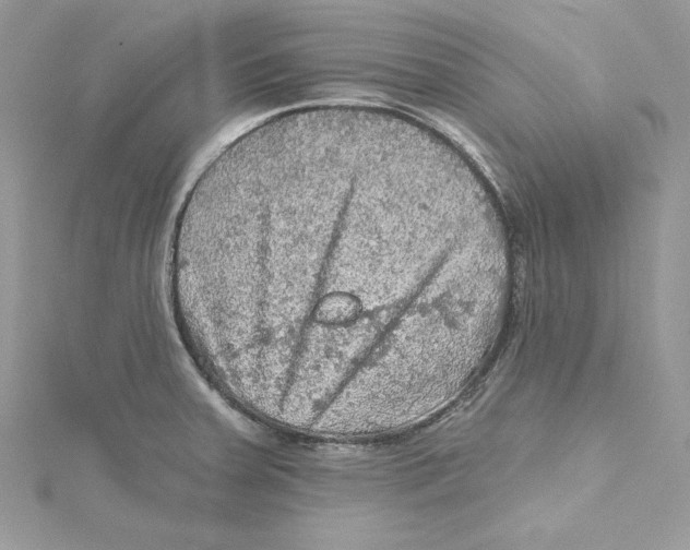 X0000114651379200911171041