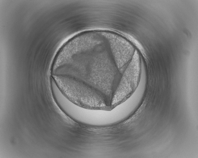 X0000114651380200911171041