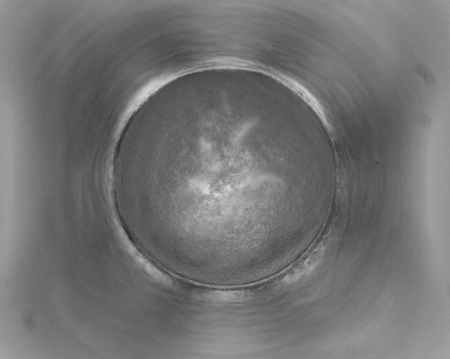 X0000114651381200911171041