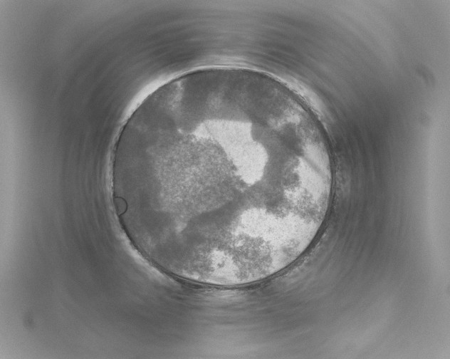 X0000114651382200911171041