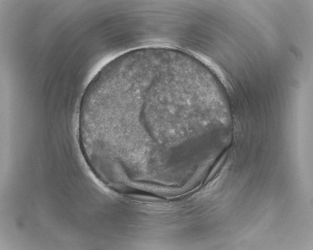 X0000114651383200911171041