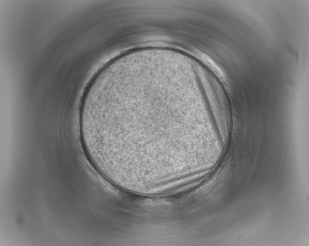 X0000114651384200911171041