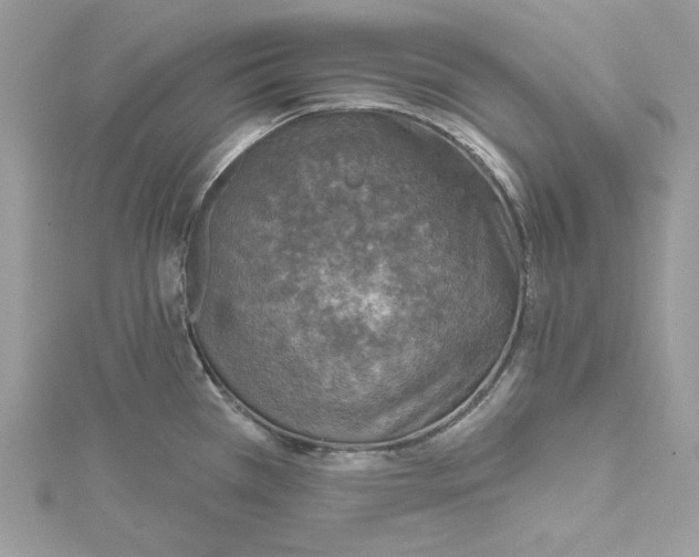 X0000114651385200911171041