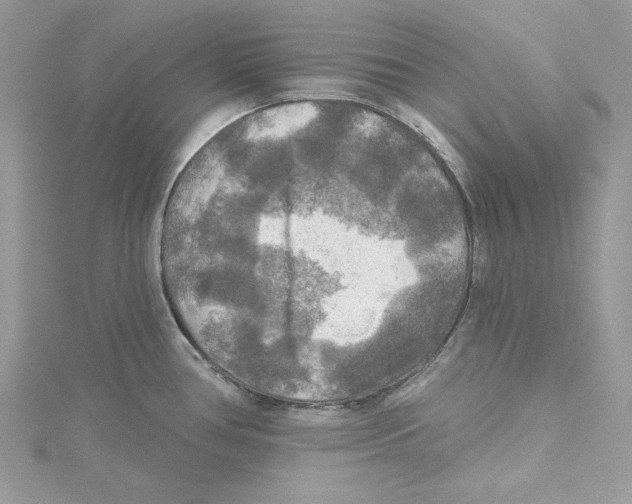 X0000114651386200911171041