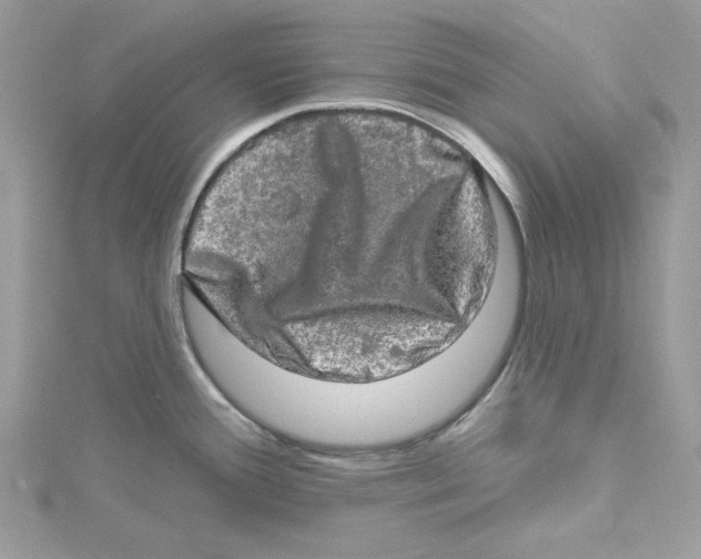 X0000114651388200911171041