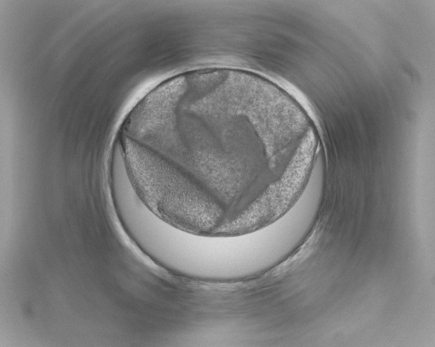 X0000114651389200911171041