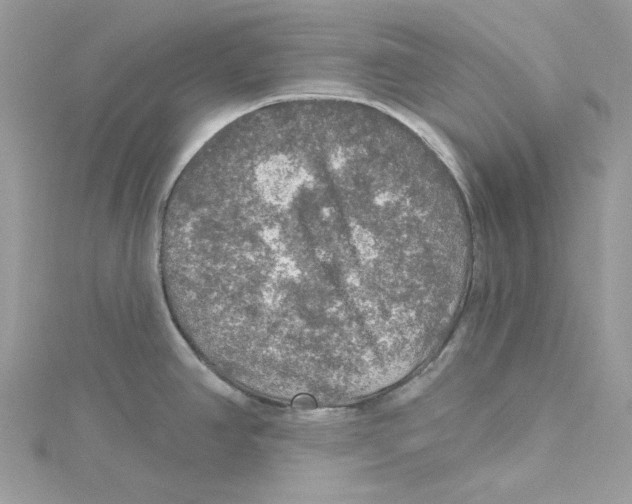 X0000114651390200911171041