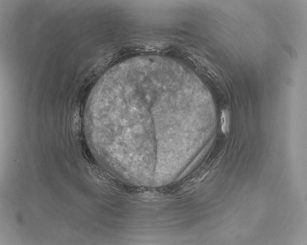 X0000114651395200911171041