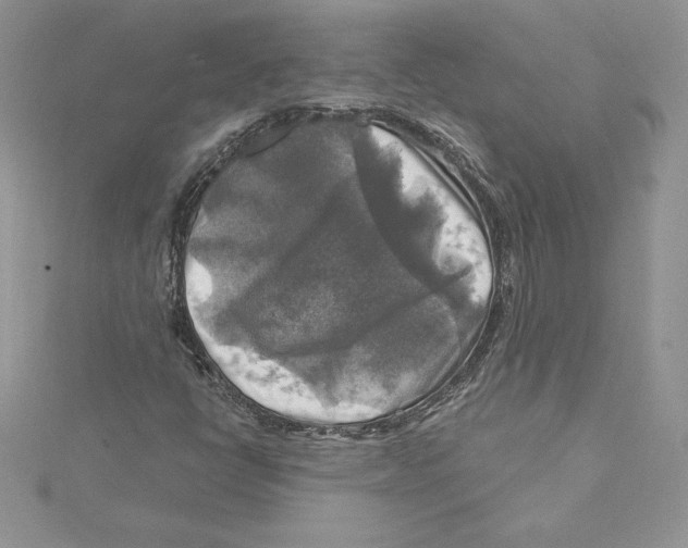 X0000114651398200911171041