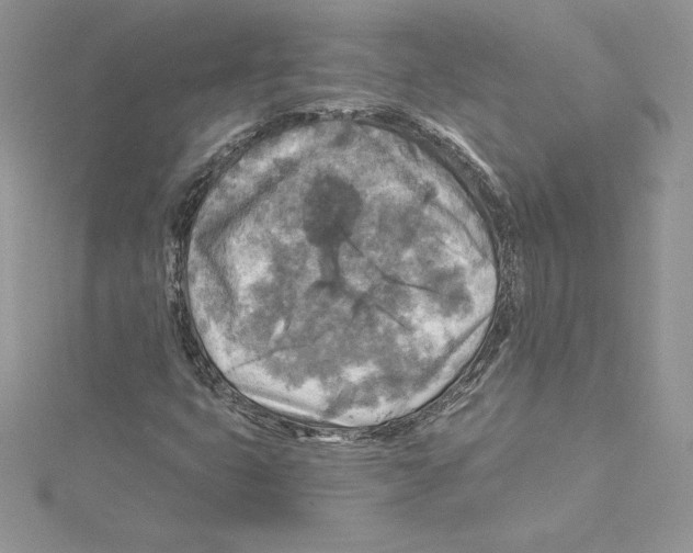 X0000114651399200911171041