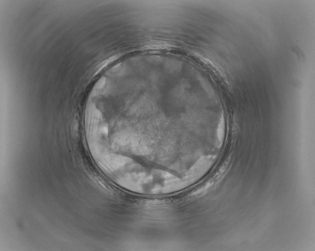 X0000114651401200911171041