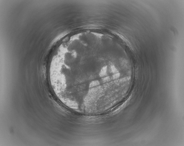 X0000114651402200911171041