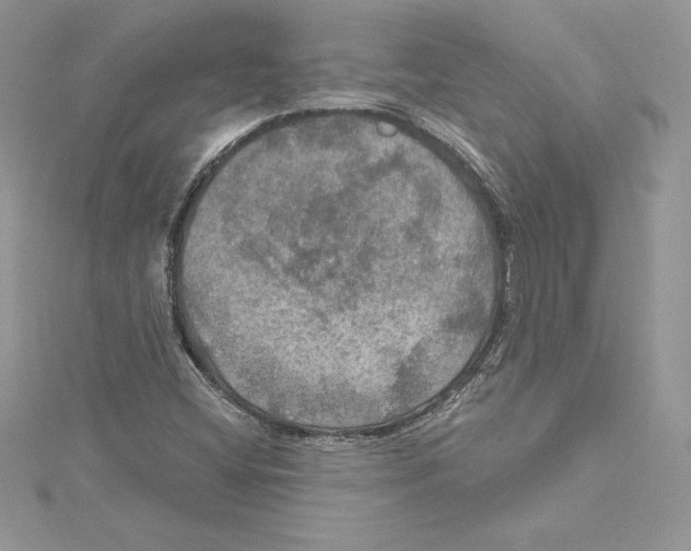 X0000114651404200911171041