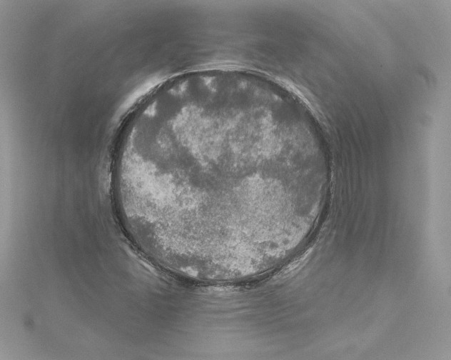 X0000114651406200911171041