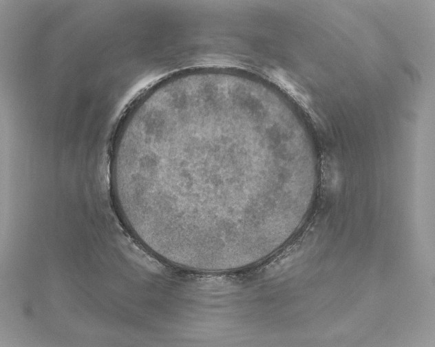 X0000114651408200911171041