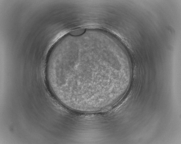 X0000114651410200911171041