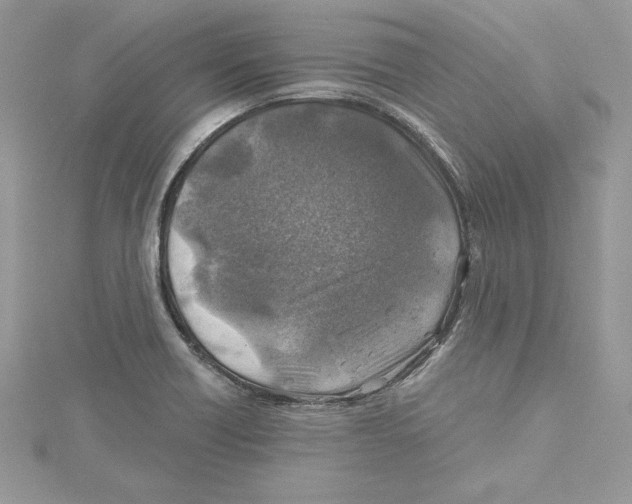 X0000114651418200911171041