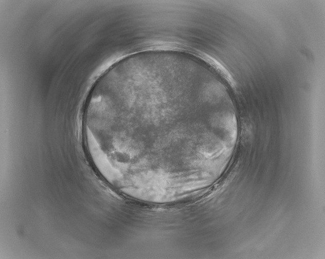 X0000114651419200911171041